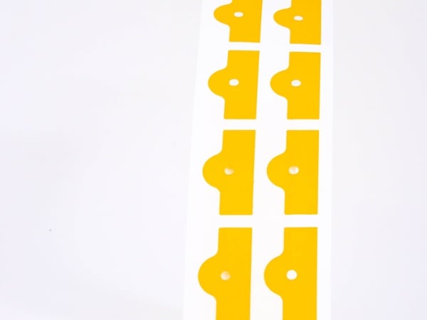Kapton 2-1 Kapton 2-1